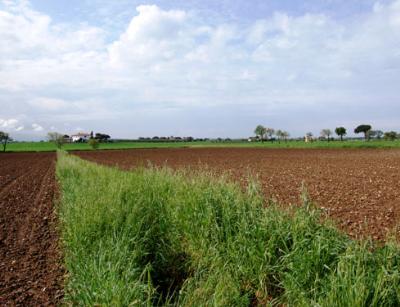 AGRITURISMO ESPOSITO