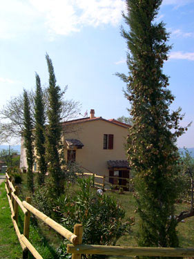 PODERE CORTESI - AGRITURISMO IL MOLINACCIO