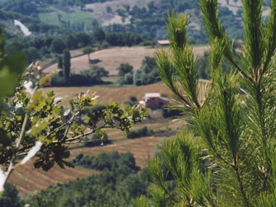 AGRITURISMO CA' DEI LANARI