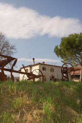 AZIENDA AGRICOLA  POLVERAIA