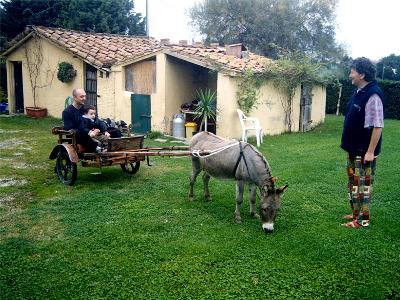 PODERE QUERCIA FURIA