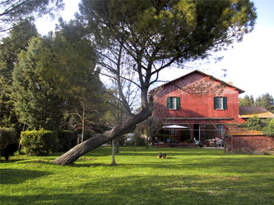 TENUTA FONTE DI PAPA