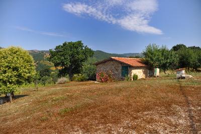 AGRITURISMO PIANDARTINO