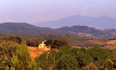 AGRITURISMO POGGIO MACINAIO