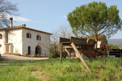 AZIENDA AGRICOLA  POLVERAIA