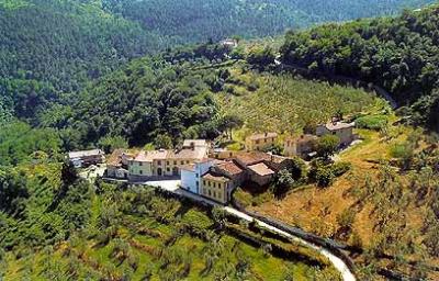 FATTORIA LE GINESTRE