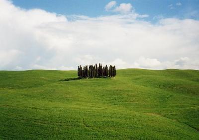 Visualizza la scheda della struttura