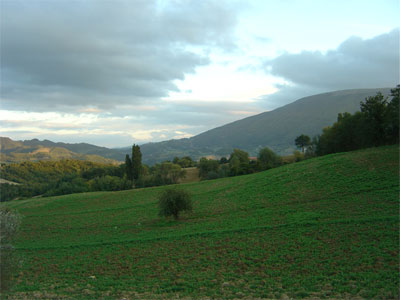 AGRITURISMO CA' DEI LANARI