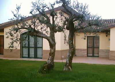 CASA VACANZE LA CONTESSINA