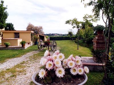 PODERE QUERCIA FURIA