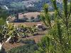 AGRITURISMO CA' DEI LANARI
