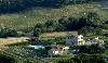 AGRITURISMO SAN NICOL