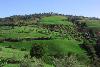 AGRITURISMO BED & BREAKFAST I TRE ARCHI