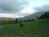 AGRITURISMO CA' DEI LANARI