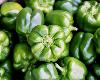 ANTICO CASALE FARM HOLIDAYS